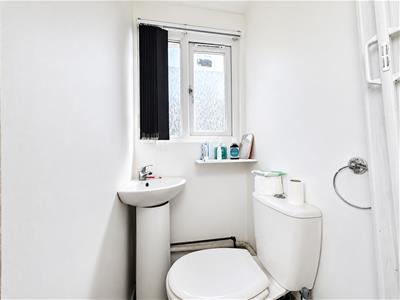 Picture 24